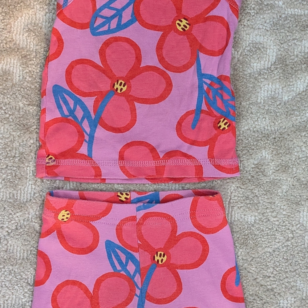 Tea Collection Pink Floral Two-Piece Set with Blue Accents